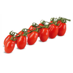 ΤΟΜΑΤΙΝΙΑ ΒΕΛΑΝΙΔΙ ΒΙΟ 250gr (ΤΕΜ)