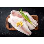 ΠΑΓΚΑΣΙΟΣ ΚΤΨ ΦΙΛΕΤΟ PREMIUM 1Kg