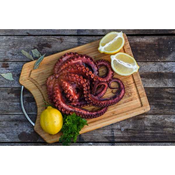 ΧΤΑΠΟΔΙ ΚΤΨ 0,5-1 Kg
